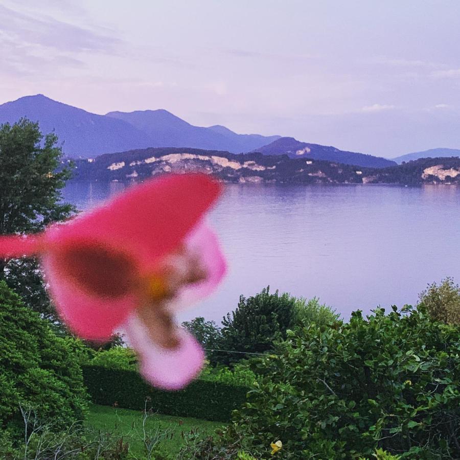 La Mia Casa Sul Lago Con Vista Mozzafiato Belgirate Extérieur photo