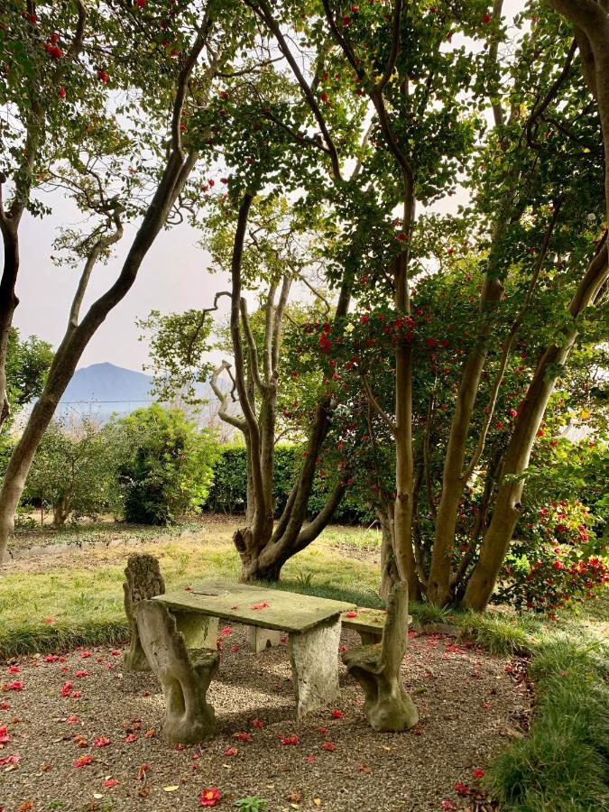 La Mia Casa Sul Lago Con Vista Mozzafiato Belgirate Extérieur photo