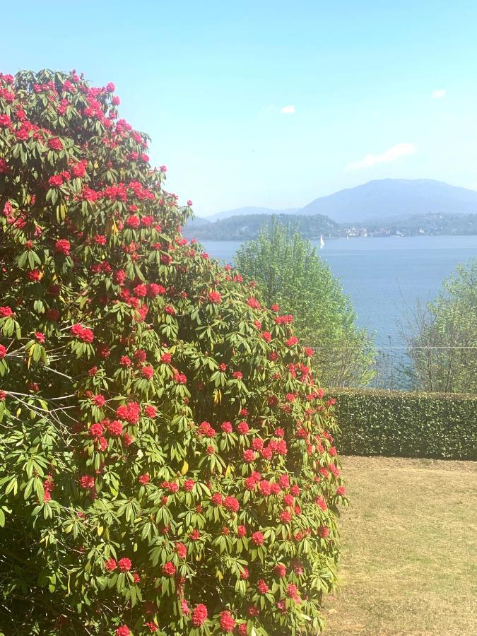 La Mia Casa Sul Lago Con Vista Mozzafiato Belgirate Extérieur photo