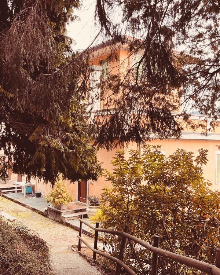 La Mia Casa Sul Lago Con Vista Mozzafiato Belgirate Extérieur photo
