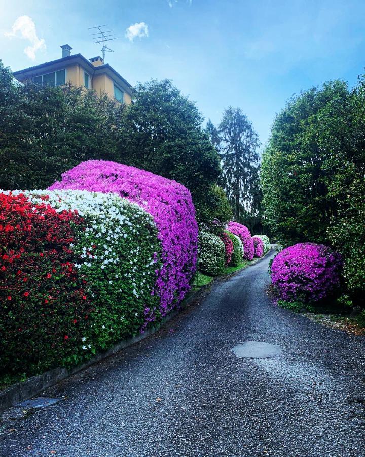 La Mia Casa Sul Lago Con Vista Mozzafiato Belgirate Extérieur photo